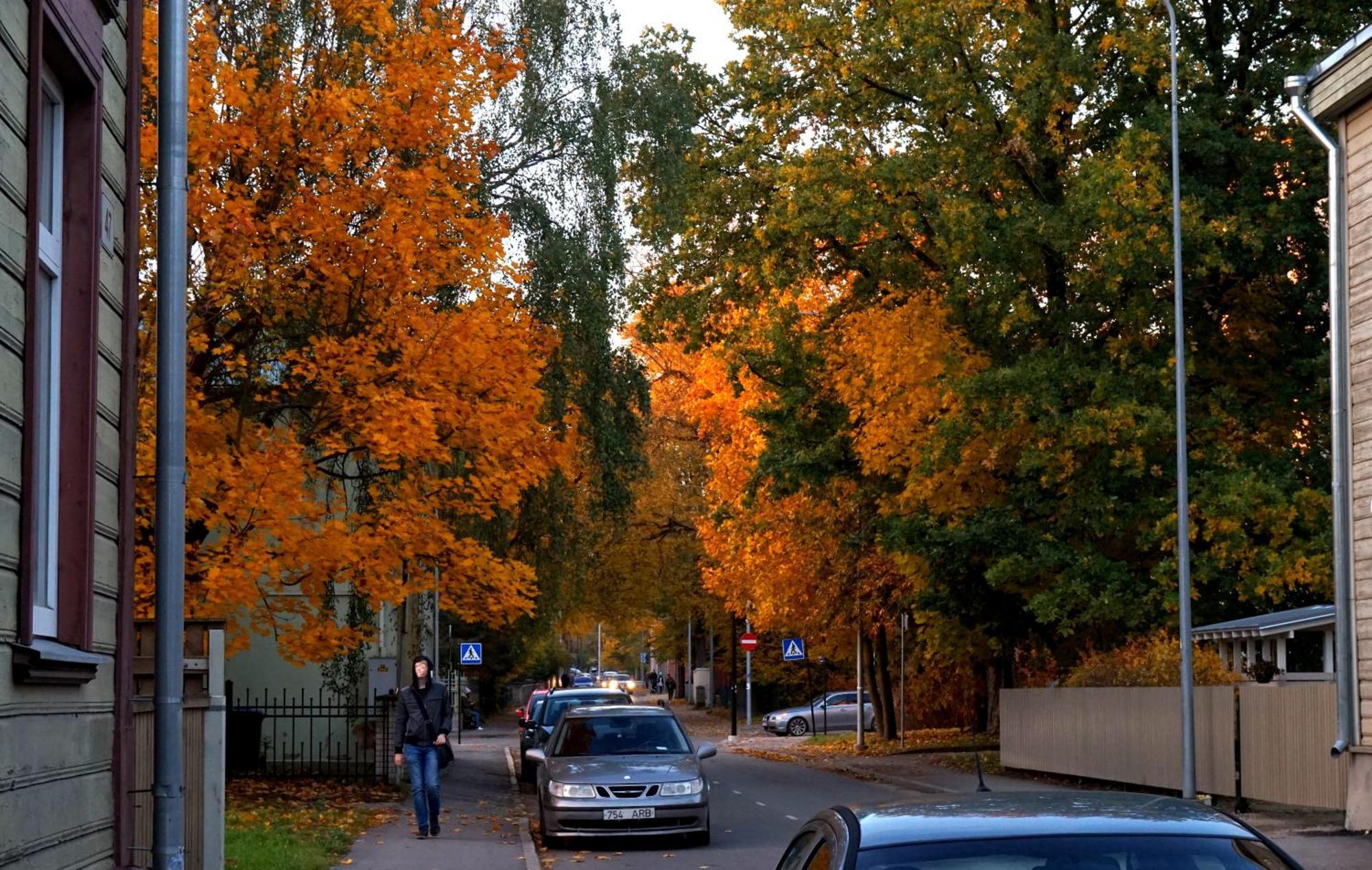 Quiet Romantic Studio Plus Parking, Tartu Home Eksteriør bilde